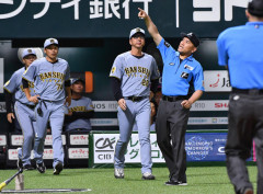【謎】阪神タイガースさん、「どの映像からアウトになったのか」と言う旨の意見書提出