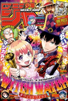 チー牛「ONE PIECE人気投票かぁ...ジャンプ900冊買って不人気キャラのナミュールに9000票入れたろw」←無事叩かれ大炎上