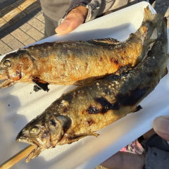 外国人「日本で思わずアユの塩焼きを買ったけど丸ごと食べるの？」