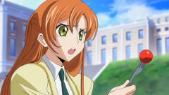 【悲報】コードギアスのシャーリーさん、ロスストで大変なことになる