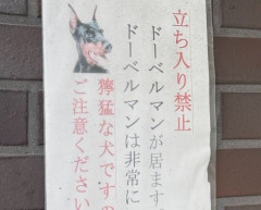 【ウマ娘】？？？「獰猛な犬ですのご注意ください。」