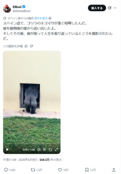 【哀愁】喧嘩後のゴリラ、完全に反省してるおっさんで草ｗｗｗｗ