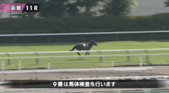 【函館スプリントS】クラスペディアさん放馬