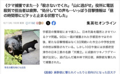 【悲報】宇都宮市でクマを捕獲、「殺さないでくれ」「山に逃がせ」と役所に電話殺到