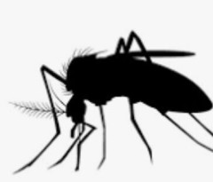【画像】網戸してるのに『虫』が入ってくる理由がこれwww