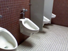 女子小便器設置案に対して女性の声　「踏ん張ったらウ●チも出てくる」「予め大小決めてトイレに行くわけではない」