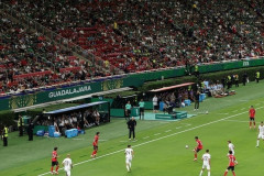 【悲報】W杯さん、結構空席が目立つ模様もFIFAは猛反発ｗｗｗｗｗｗｗ