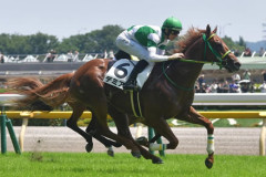 【2歳新馬】フライトライン産駒デミアン強すぎｗｗ
