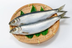 サーモン・サバ高騰でニシンが注目「脂がのって身もふわふわ」漁獲量と価格が安定