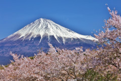 西洋「日本は世界で唯一の先進国だ」 欧米人がどうしても日本には勝てないと感じる面が話題に