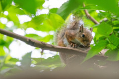 いい天気だから動物園でちょっと写真撮った（※画像あり）