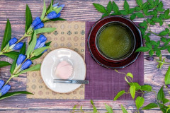 【悲報】中国「抹茶は中国が発祥、抹茶を日本から取り戻す！」