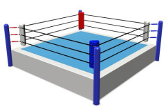 【悲報】セメント最強のプロレスラーって誰なん？