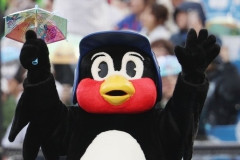【速報】つば九郎さん…PayPayドームでそれはほんとにダメです😵笑笑