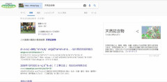 JKの太もも、Googleによって天然記念物と認定される （※画像あり）