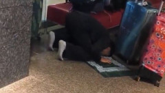 【動画】東京駅で礼拝を始めたムスリムに日本人が注意「ここはお前たちの国か？お前たちの家か？今こういう行為が世界中で嫌われてるんだよ」→ムスリムの回答がこちら・・・