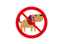 ペット不可物件でペットを飼う人がヤバ過ぎる行動に出てしまう⋯ 人の心とかないんかお前