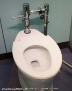 【困惑】トイレの流すレバー、手で押すか足で踏むか問題