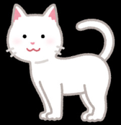 【はえー】「猫は人間のことを巨大な猫と認識してる」←これ