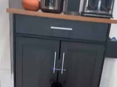 食いしん坊な彼女が勝手にオヤツの入っている戸棚を開けてしまう。取っ手にペンを置いてみた → 彼女はこんな様子です…