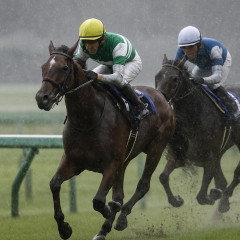宝塚記念(阪神・G1) 直前の大雨の中、武豊騎手騎乗のメイショウタバルが連覇達成！クロワデュノール2着   #競馬 |  ダノンデサイル