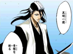 【BLEACH】中の上の隊長格ってところか