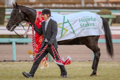 【困惑】宝塚記念のクロワデュノールさん、オッズがガチで異常すぎる・・・・・・・・・
