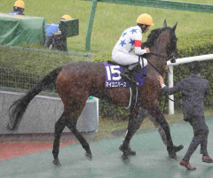 【宝塚記念】マイユニバースが急性心不全で死亡、最後の直線で競走中止