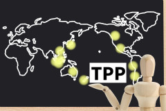 【韓国のＴＰＰ加盟申請方針に波紋】水産物輸入規制の切り離し支持に国内の漁業者への配慮や自由貿易の原則をめぐる疑問