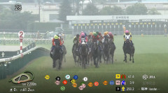 コスモキュランダ(有馬2着、宝塚4着)←この馬の評価