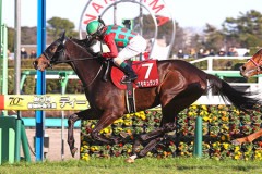 コスモキュランダ(有馬2着、宝塚4着)←こいつの評価