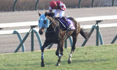 オジュウチョウサンが顕彰馬に選出
