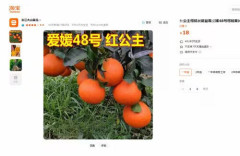 【悲報】愛媛県が開発した高級かんきつ『紅プリンセス』の苗木、中国に流出か… 「十数年の月日をかけた成功品種。本当に悔しい」
