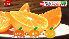 【悲報】新品種「紅プリンセス」が中国に流出、差し止め不能