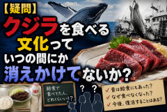 【疑問】クジラを食べる文化っていつの間にか消えかけてないか？