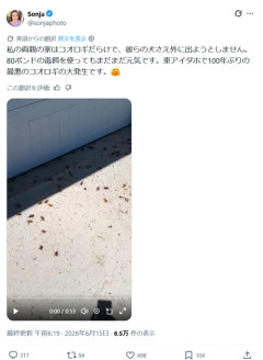 【注意】海外の家、コオロギだらけで逝く。お前らの想像の1.2倍コオロギだらけｗｗｗｗ