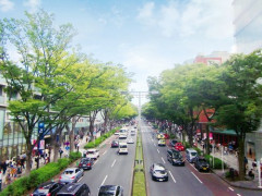 【悲報】都内住みさん、車って実際必要なんか問題ｗｗｗｗｗｗｗｗｗｗ