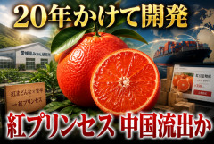 【またか】日本が20年かけて開発した高級柑橘「紅プリンセス」、中国で販売される…なぜ流出は繰り返されるのか？