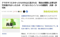 【兵庫】オリでクマを捕獲→違法だったので山に逃がす