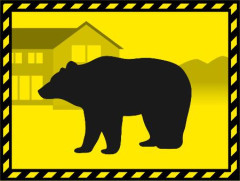 4、5月のクマ被害19人　死者4人、環境省