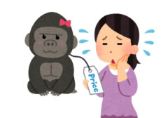 値段上がりすぎてお前らが食わなくなった食い物ｗｗｗ
