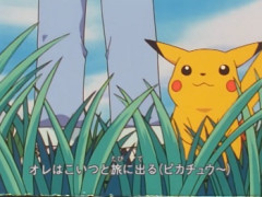 アニポケの「ピカチュウの森」のピカチュウが全員オスだった理由って何ｗｗｗｗｗｗｗｗｗｗ
