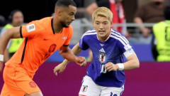 サッカー日本代表、オランダ戦視聴率34.9%ｗｗｗｗｗｗｗｗｗｗｗｗｗｗｗ