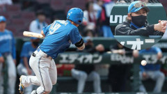カープファン、新庄采配『2死からセーフティスクイズ』に感心「あれは警戒できない」「広島がするべき攻撃」