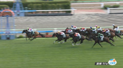 まじでピューロマジックは平坦求めてvsカーインライジングをやれ