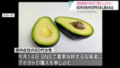 ”ニセ農家”SNS詐欺が急増 アボカドを購入しようとした女性は9万円被害 実在する農家になりすますパターンも