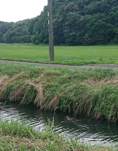 めちゃくちゃエモい田舎の写真みせたる（自前写真）