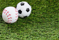 【悲報】ワイ「サッカーつまらん」バカ「野球はもっとつまらん！」←これ