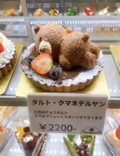 クマさん「歩くのつかれたクマ…」トテッ(そのまま横になる)