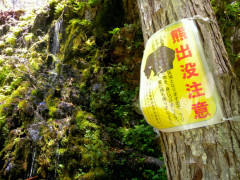 兵庫県、クマを殺さず山に逃がす。外道だから